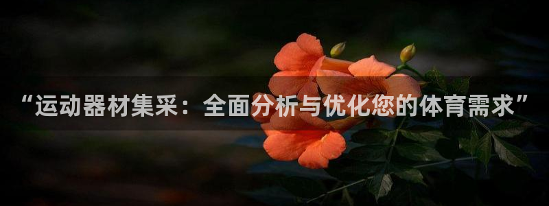 意昂体育3招商电话