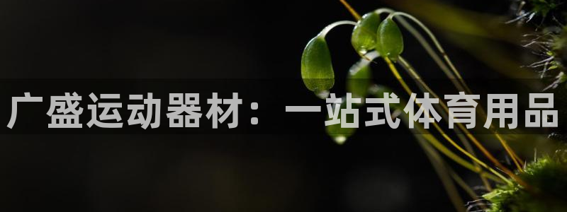 意昂体育3招商电话地址查询