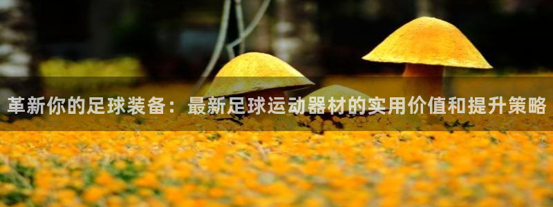意昂3娱乐下载