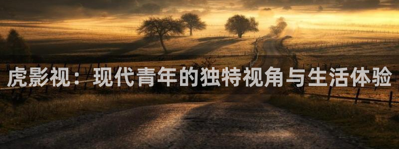 在线下载宅男视频：虎影视：现代青年的独特视角与生活体验
