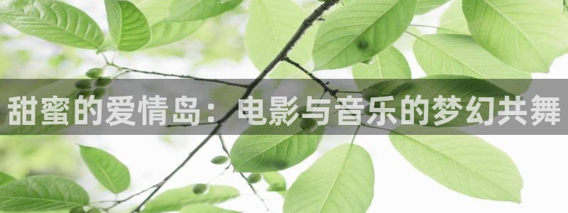 午夜宅男视频网：甜蜜的爱情岛：电影与音乐的梦幻共舞