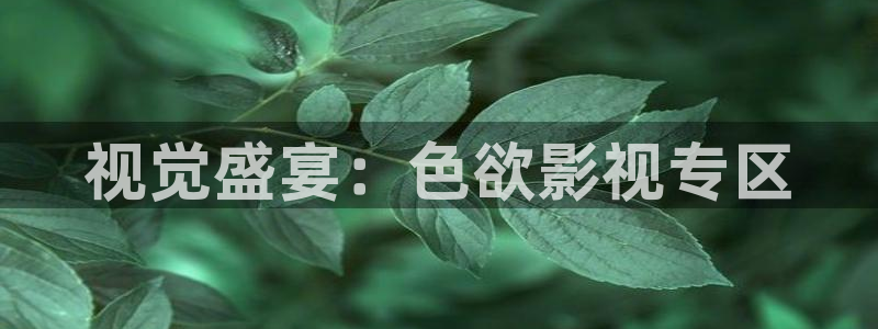 宅男视频免费在线观看：视觉盛宴：色欲影视专区