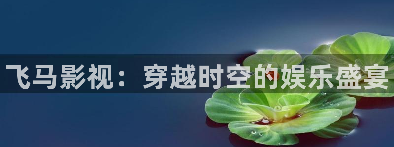 午夜宅男视频免费在线观看：飞马影视：穿越时空的娱乐盛宴
