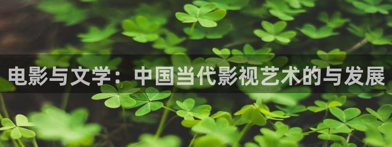 宅男视频.：电影与文学：中国当代影视艺术的与发展