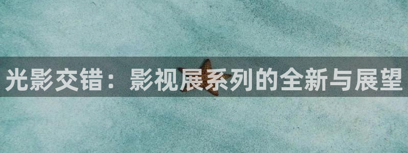 宅男视频在线观看视频：光影交错：影视展系列的全新与展望