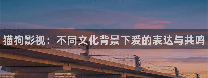宅男视频污污在线观看：猫狗影视：不同文化背景下爱的表达与共鸣