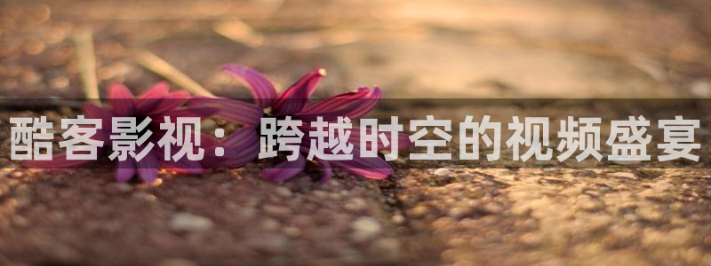 污宅男视频：酷客影视：跨越时空的视频盛宴