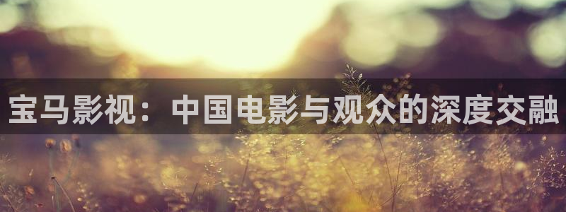 宅男视频在线网站：宝马影视：中国电影与观众的深度交融
