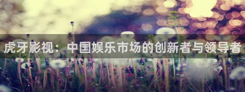 宅男视频网站在线观看：虎牙影视：中国娱乐市场的创新者与领导者