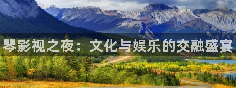 宅男视频：琴影视之夜：文化与娱乐的交融盛宴
