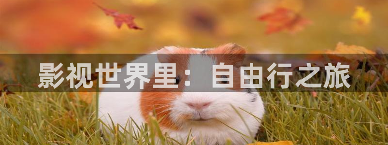 成人宅男视频在线观看：影视世界里：自由行之旅